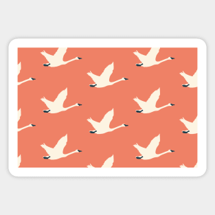 Tundra Swan (Amber) Sticker